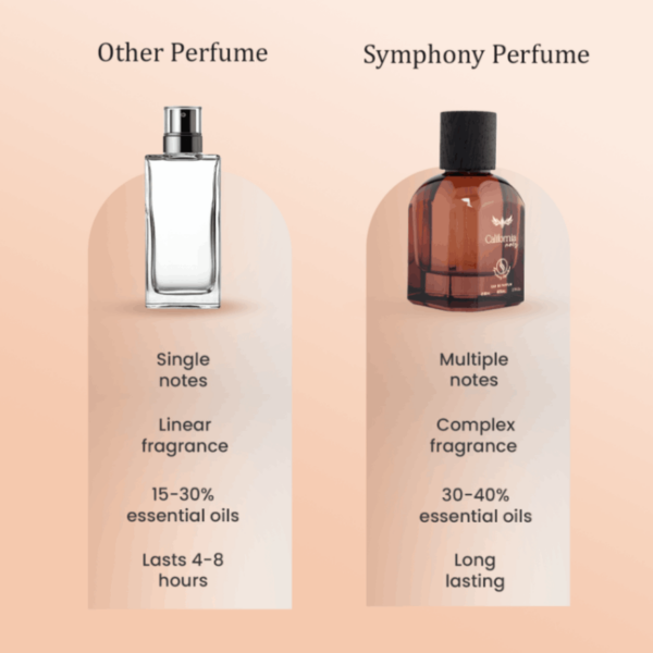 California Noir by Symphony Eau De Parfum, 80ml 2.7oz, Inspired by Tuscan Leather Tom Ford, Luxury Perfume for Men Women Unisex, Long Lasting, Wide Sillage