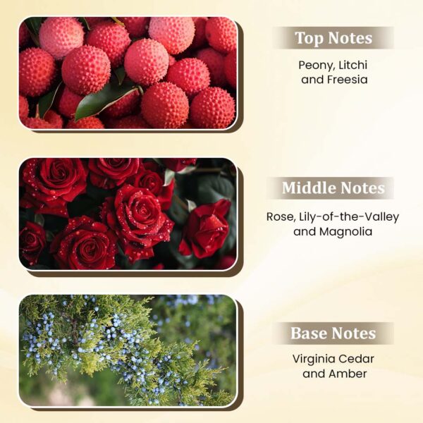 Artboard 3 (52) CHLOÈ by Symphony, Eau De Parfum, 100ml 3.4oz, Inspired by Chloé, Luxury Perfume for Women, Long Lasting, Floral, Rose, Fruity, Fresh, White Floral Scent, Wide Sillage