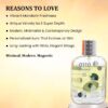01+MANDARIN by Symphony, Eau De Parfum, 100ml 3.4oz, Inspired by Molecule 01 + Mandarin (Escentric Molecules), Luxury Unisex Perfume, Long Lasting, Citrus, Woody, Musky, Amber, Fruity Scent, Wide Sillage