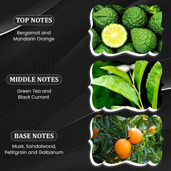 Notes (1) SILVER VALLEY by Symphony, Eau De Parfum, 100ml 3.4oz, Inspired by Silver Mountain Water (Creed), Luxury Unisex Perfume, Long Lasting, Citrus, Green, Fruity, Musky, Woody Scent, Wide Sillage