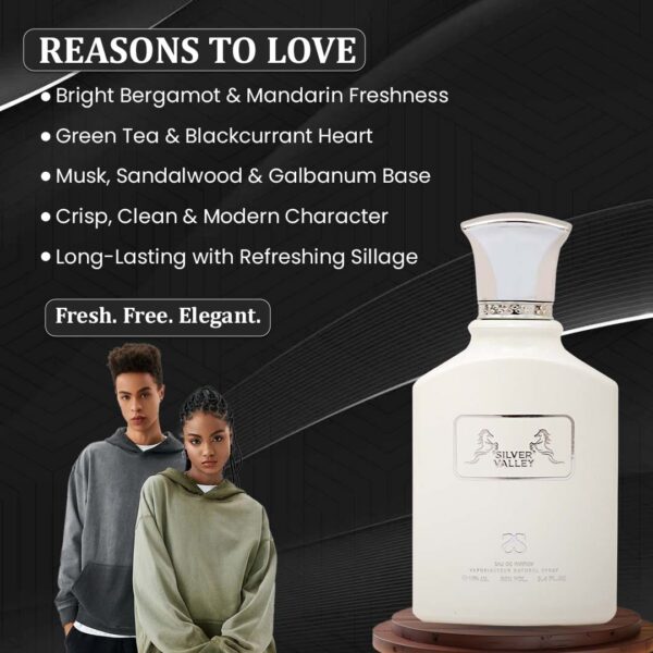 Reasons to love (1) SILVER VALLEY by Symphony, Eau De Parfum, 100ml 3.4oz, Inspired by Silver Mountain Water (Creed), Luxury Unisex Perfume, Long Lasting, Citrus, Green, Fruity, Musky, Woody Scent, Wide Sillage