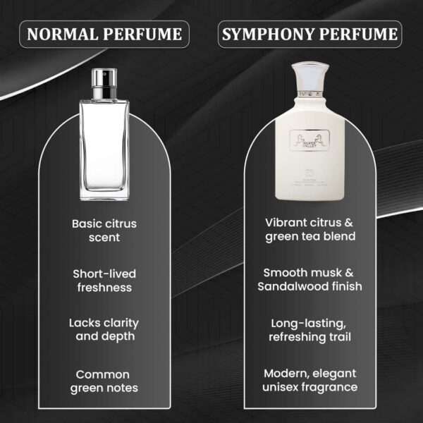 Symphony perfumes (2) SILVER VALLEY by Symphony, Eau De Parfum, 100ml 3.4oz, Inspired by Silver Mountain Water (Creed), Luxury Unisex Perfume, Long Lasting, Citrus, Green, Fruity, Musky, Woody Scent, Wide Sillage