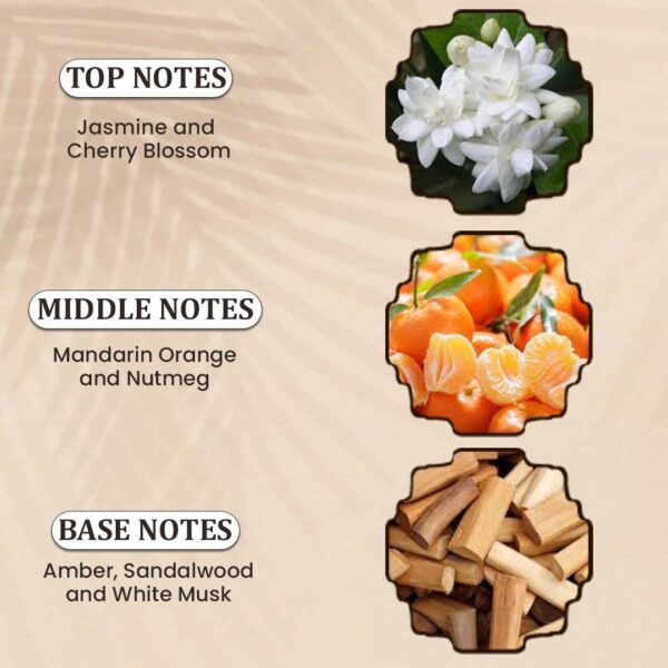 WhatsApp Image 2026-02-07 at 5.35.52 PM (3) AMBER PURGE by Symphony, Eau De Parfum (Inspired by the mystery of the night)