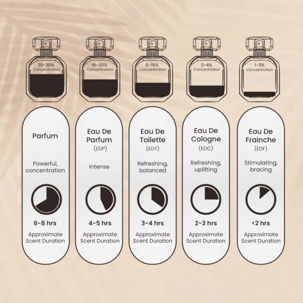 WhatsApp Image 2026-02-07 at 5.35.52 PM (5) AMBER PURGE by Symphony, Eau De Parfum (Inspired by the mystery of the night)