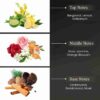 GIARDINO by Symphony Eau De Parfum, 100ml 3.4oz, Inspired by Kirke Tiziana Terenzi, Luxury Perfume for Men Women Unisex, Long Lasting Fruity Fragrance with Floral Woods Scent, Wide Sillage