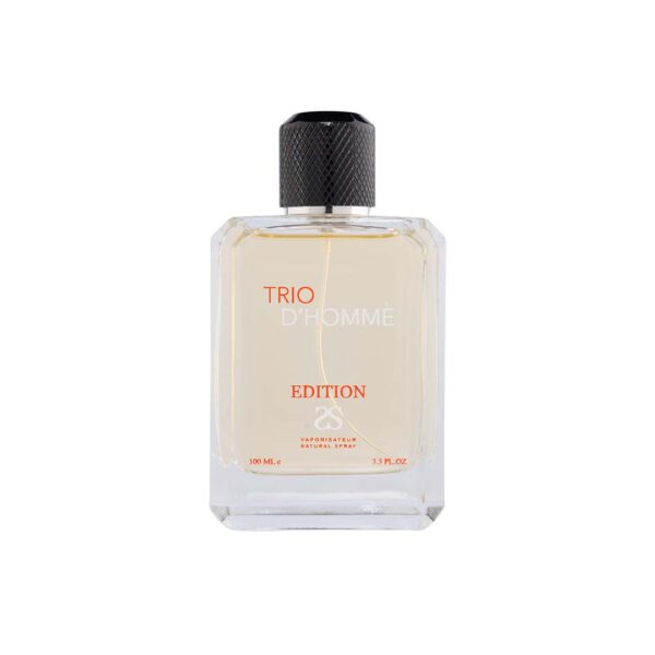 TRIO D’HOMME by Symphony Eau De Parfum, 100ml 3.4oz, Inspired by Terre  D'Hermes, Luxury Perfume for Men, Long Lasting, Wide Sillage
