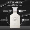 SILVER VALLEY by Symphony, Eau De Parfum, 100ml 3.4oz, Inspired by Silver Mountain Water (Creed), Luxury Unisex Perfume, Long Lasting, Citrus, Green, Fruity, Musky, Woody Scent, Wide Sillage